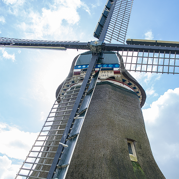 Holland 03 - 201520150327_03274078 als Smartobjekt-1 Kopie.jpg - Eine sehr gut erhaltene Windmühle aus dem Jahre 1650 